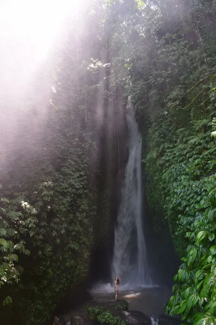 waterfall in Bali in the nature