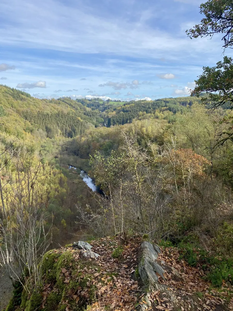 le saut des soricères les hayons