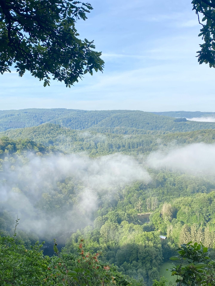 point de vue du hjambon le plus beau de la semois