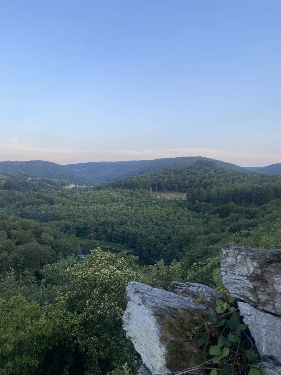 randonnée pique nique sac à dos ardennes bois forêt sapin point de vue